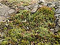View full size