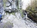 View full size