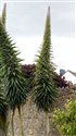 View full size