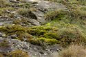 View full size